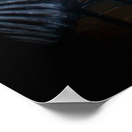 olifant Poster (Hoek)