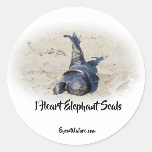 Olifant Seal pup sticker (Voorkant)