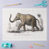  olifant tissuepapier (Craft)