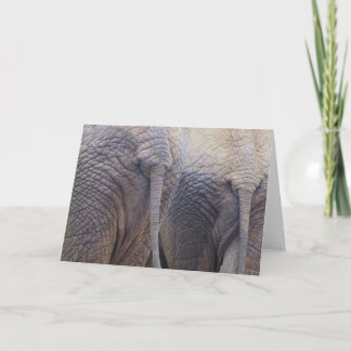 Olifant Verjaardagskaart Kaart
