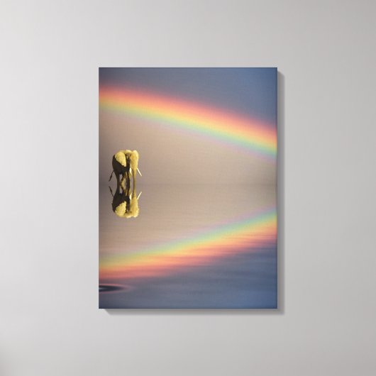 Olifant, Water & Regenboog, Kenia Canvas Afdruk (Voorkant)