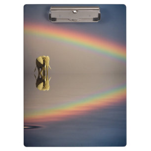 Olifant, Water & Regenboog, Kenia Klembord