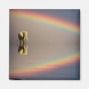 Olifant, Water & Regenboog, Kenia Magneet