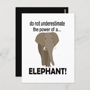 Olifant wild dier grappige olifant briefkaart