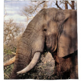 Olifant Wildlife Douchegordijn (Voorkant)