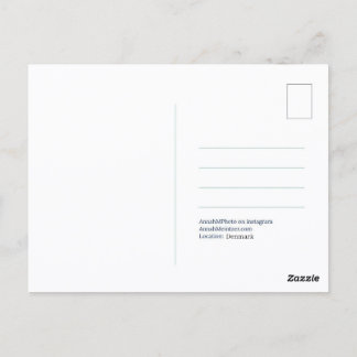 Olifantboom Ansichtkaart Briefkaart