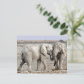 Olifanten Briefkaart (Staand voorkant)