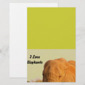 Olifanten Briefpapier (Voorkant / Achterkant)
