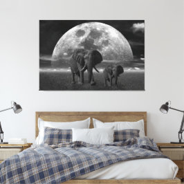 Olifanten Canvas Afdruk