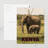 Olifanten grazen in Kenia Briefkaart (Voorkant / Achterkant)