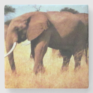 olifanten in beweging wild - life - vierkant papie stenen onderzetter