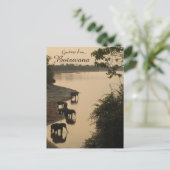 Olifanten in Botswana Briefkaart (Staand voorkant)