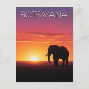 Olifanten in Botswana reizen bij zonsondergang Briefkaart
