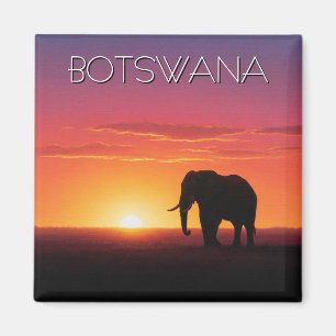 Olifanten in Botswana reizen bij zonsondergang Magneet