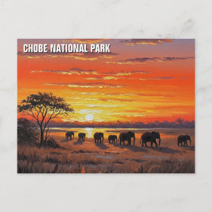 Olifanten in het Chobe National Park in Botswana Briefkaart