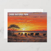 Olifanten in het Chobe National Park in Botswana Briefkaart (Voorkant / Achterkant)