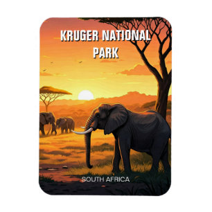 Olifanten in het Kruger National Park in Zuid-Afri Magneet