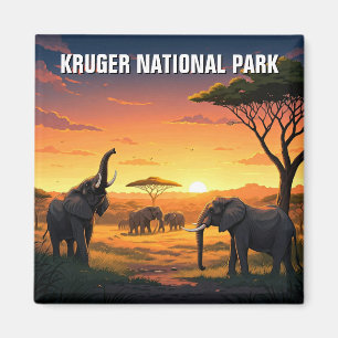 Olifanten in het Kruger National Park in Zuid-Afri Magneet