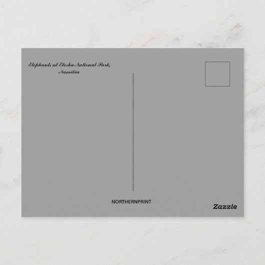 Olifanten in het nationaal park Etosha Namibië Briefkaart (Achterkant)