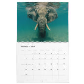Olifanten Kalender (Feb 2027)