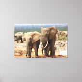 Olifanten naast Canvas omlijst (Voorkant)