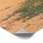 Olifanten Poster (Hoek)