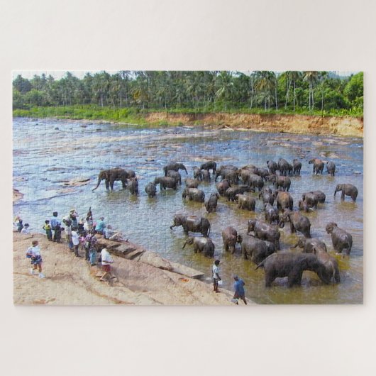 Olifanten van Sri Lanka. Legpuzzel (Horizontaal)