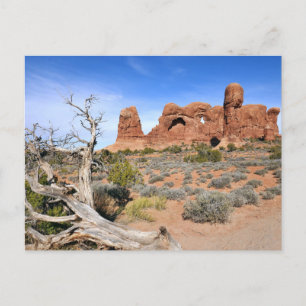 Olifantendans bij Arches National Park Briefkaart