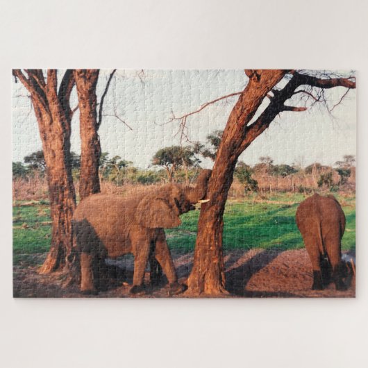 olifantenduw legpuzzel (Horizontaal)