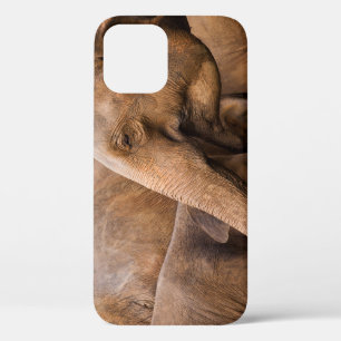 Olifantenfamilie: Majestic Wildlife iPhone 12 Hoesje