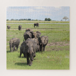 Olifantenmigratie Legpuzzel