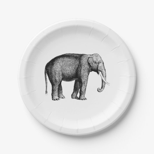  olifantentekening papieren bordje (Voorkant)