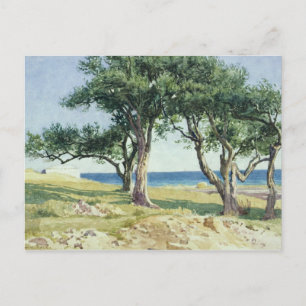 Olijfbomen, Bordighera Briefkaart