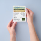 Olijfbomen, fotografie, fotografe hire flyer (Hand)