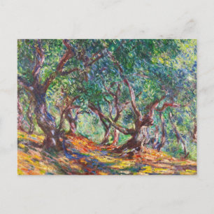 Olijfbomen in Bordighera, 1884 Claude Monet Briefkaart