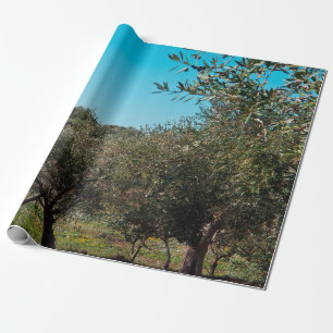 Olijfbomen in het Apulië-landschap in de herfst. Cadeaupapier