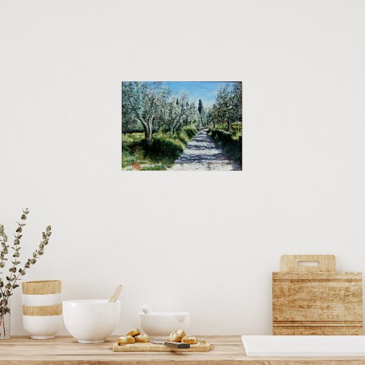 OLIJFBOMEN IN HET landschap RIMAGGIO Toscane Poster (Keuken)