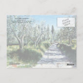 OLIJFBOMEN IN RIMAGGIO BRIEFKAART (Achterkant)