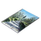 OLIJFBOMEN IN RIMAGGIO NOTITIEBOEK (Linkerzijde)