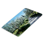 OLIJFBOMEN IN RIMAGGIO TUSCANY MAGNEET (Linkerzijde)