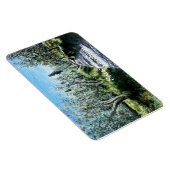 OLIJFBOMEN IN RIMAGGIO TUSCANY MAGNEET (Rechterzijde)