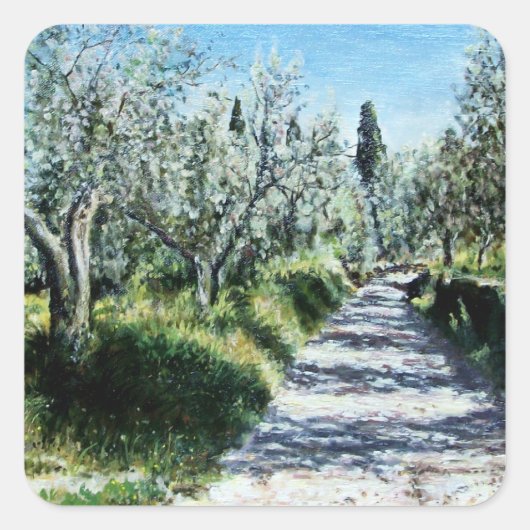 OLIJFBOMEN IN TUSCANY LANDSCAPE VIERKANTE STICKER (Voorkant)