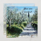 OLIJFBOMEN KAART (Voorkant / Achterkant)