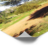 Olijfbomen Poster (Hoek)