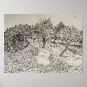 Olijfbomen schets poster