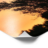 Olijfbomen Silhouette bij zonsondergang Foto Afdruk (Hoek)