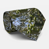 Olijfbomen Stropdas (Opgerold)
