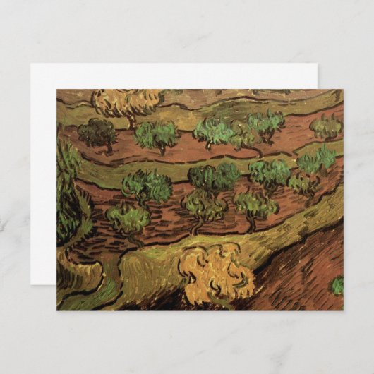 Olijfbomen van Vincent van Gogh tegen een helling (Voorkant / Achterkant)