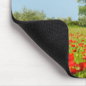 Olijfboom in papavermoedui muismat (Hoek)