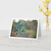 Olijfboom met Bokeh achtergrond Kaart (Gele Bloem)